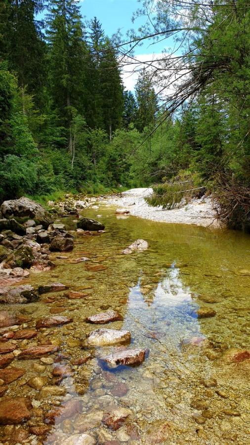 Alloggi Buon Riposo Tarvisio Buitenkant foto
