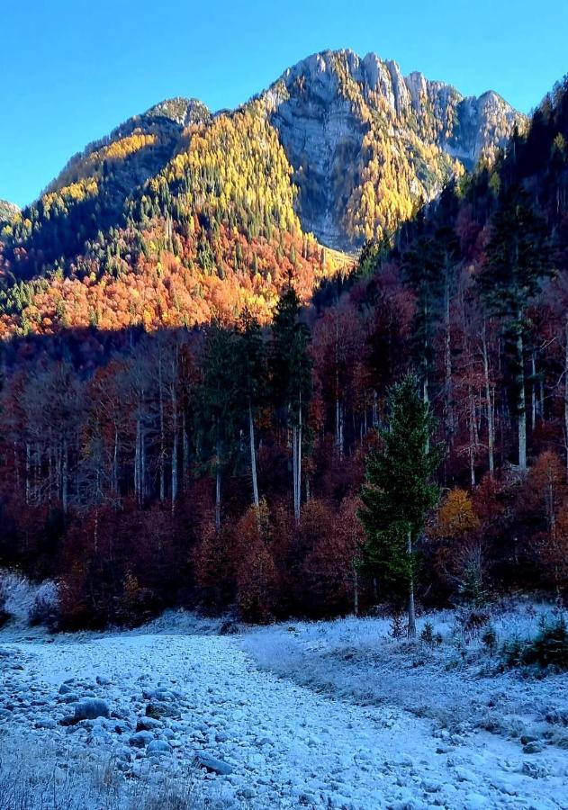 Alloggi Buon Riposo Tarvisio Buitenkant foto